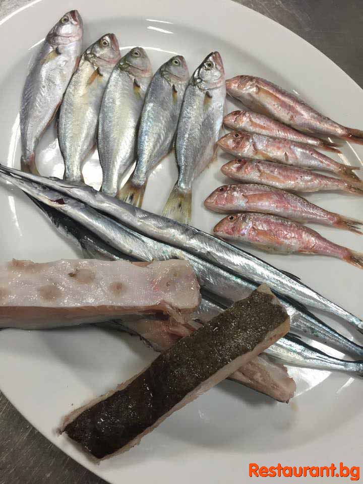 Fresh Fish !