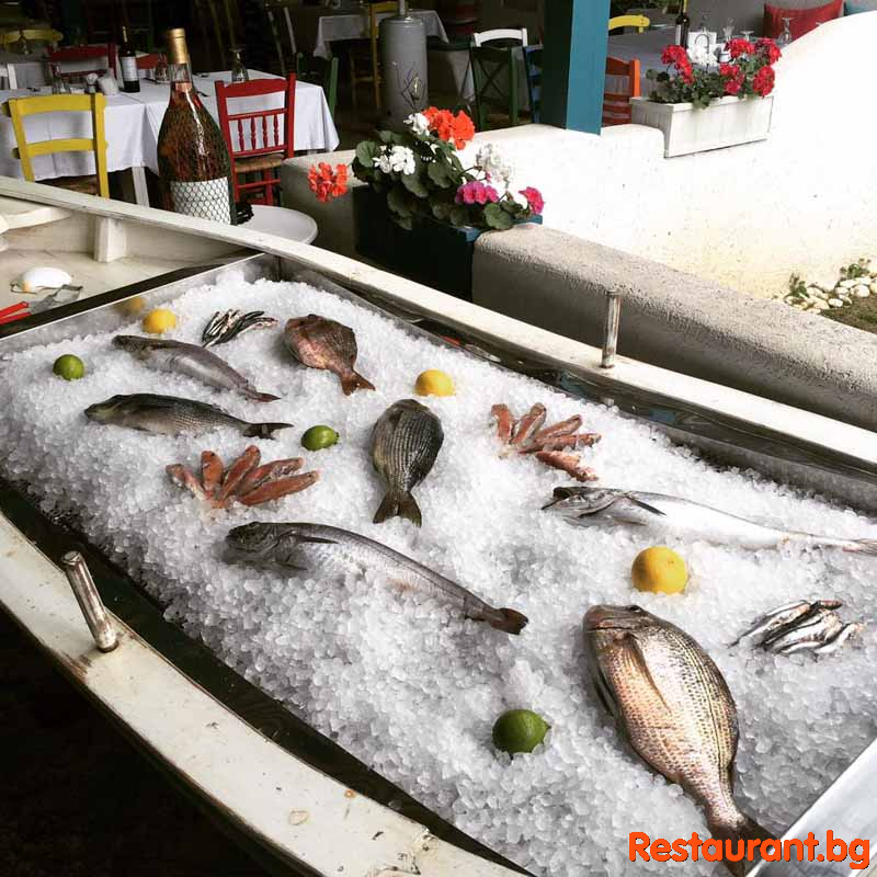 Fresh Fish !