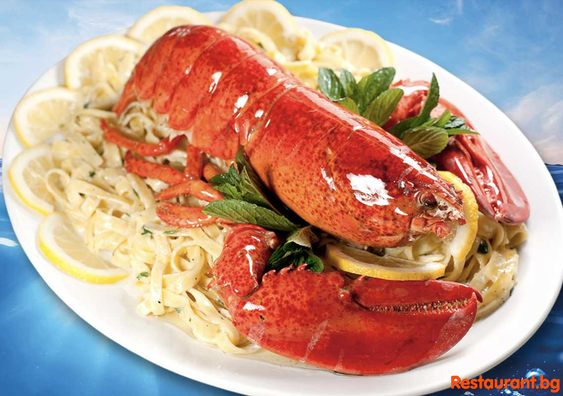 Fish & Seafood