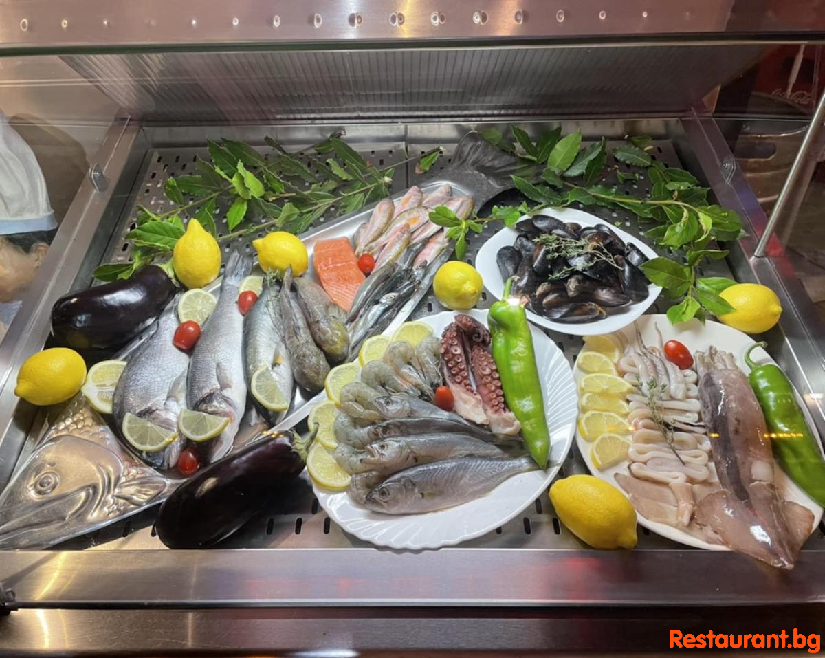 Fresh Fish 