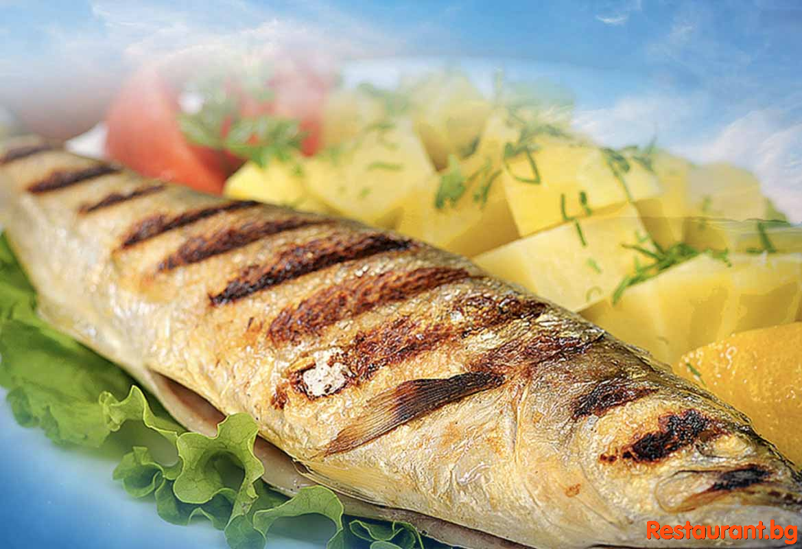 Fish & Seafood