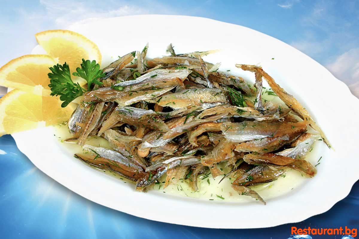 Fish & Seafood