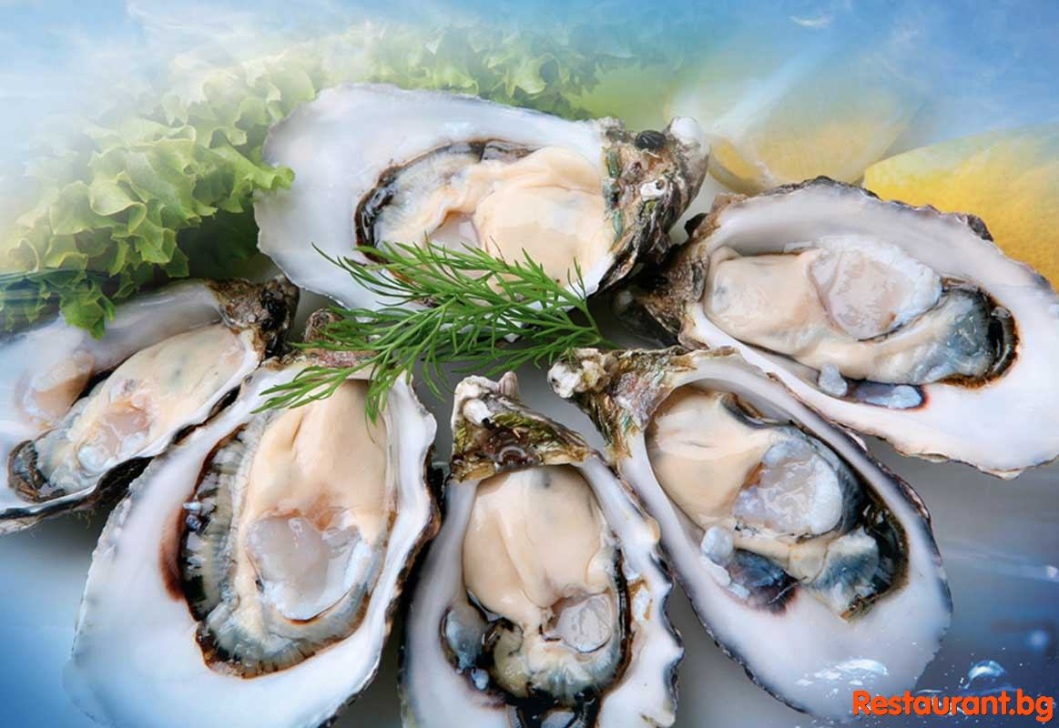 Fish & Seafood