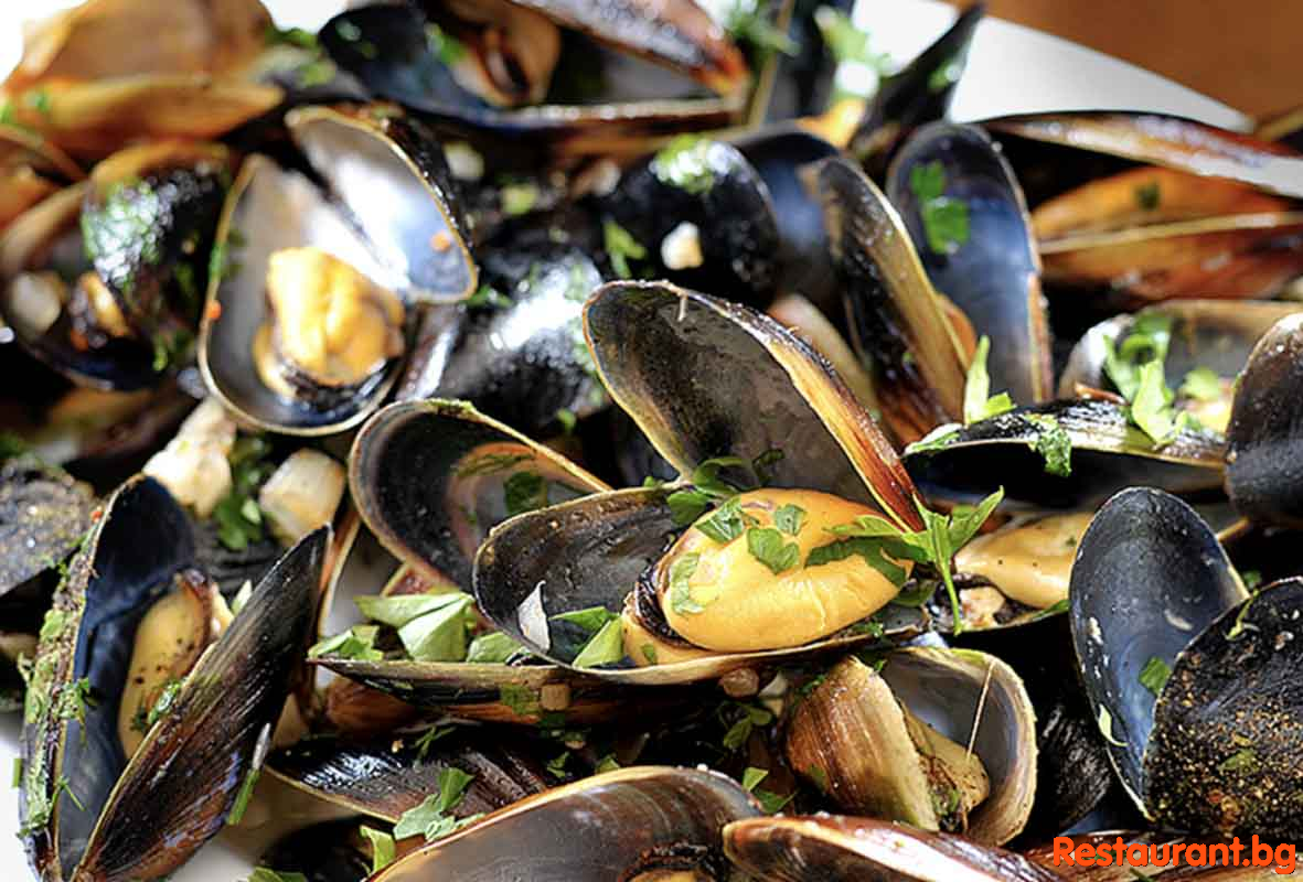 Fish & Seafood