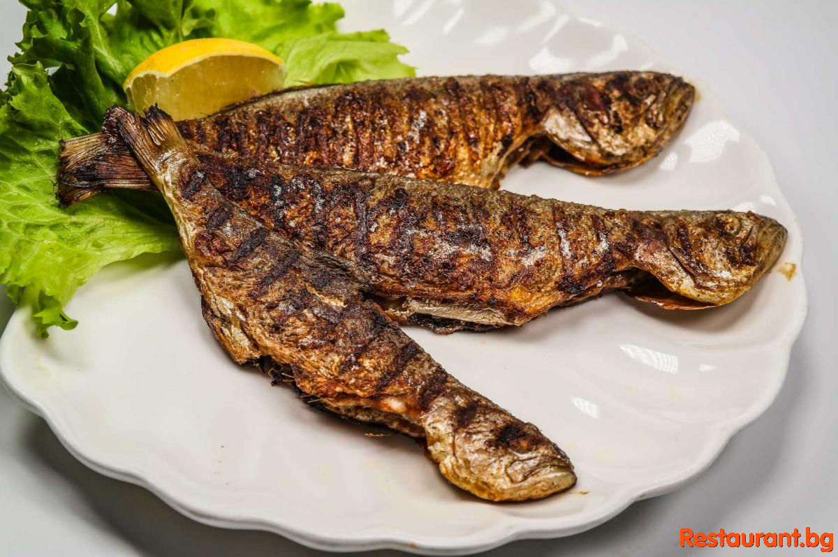 Нови предложения
