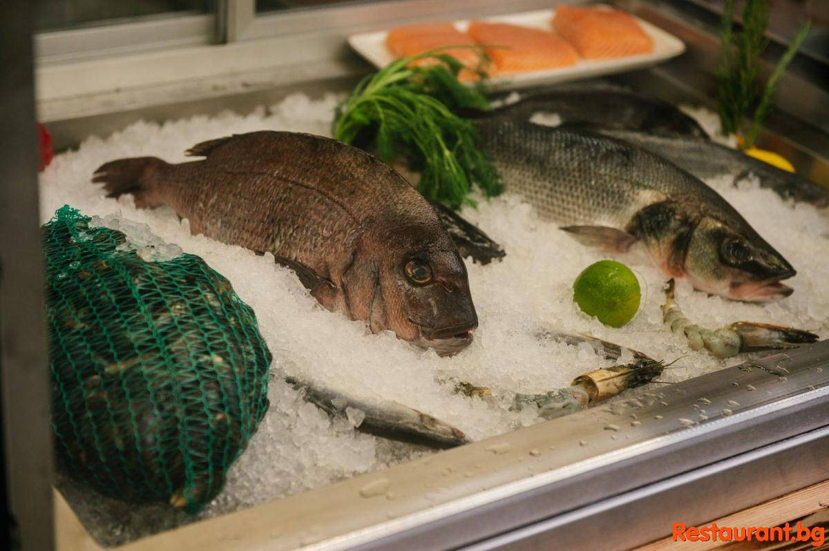 Always Fresh Fish