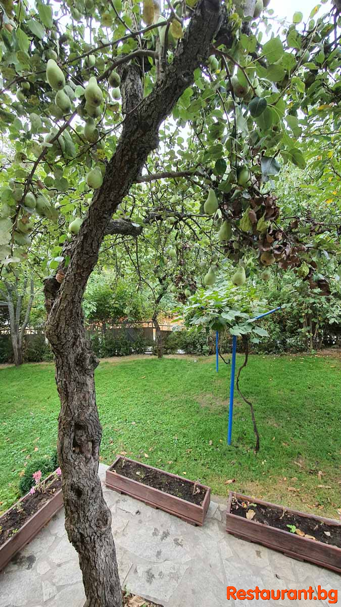 507 Garden