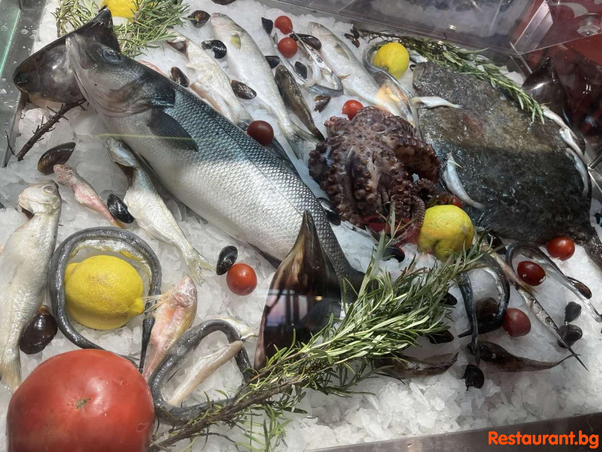 Always FRESH Fish !