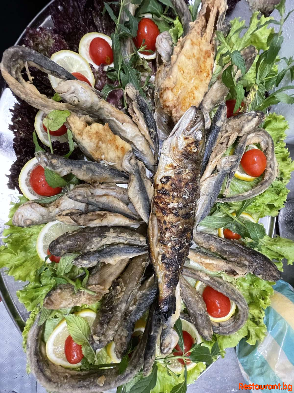 Always FRESH Fish !