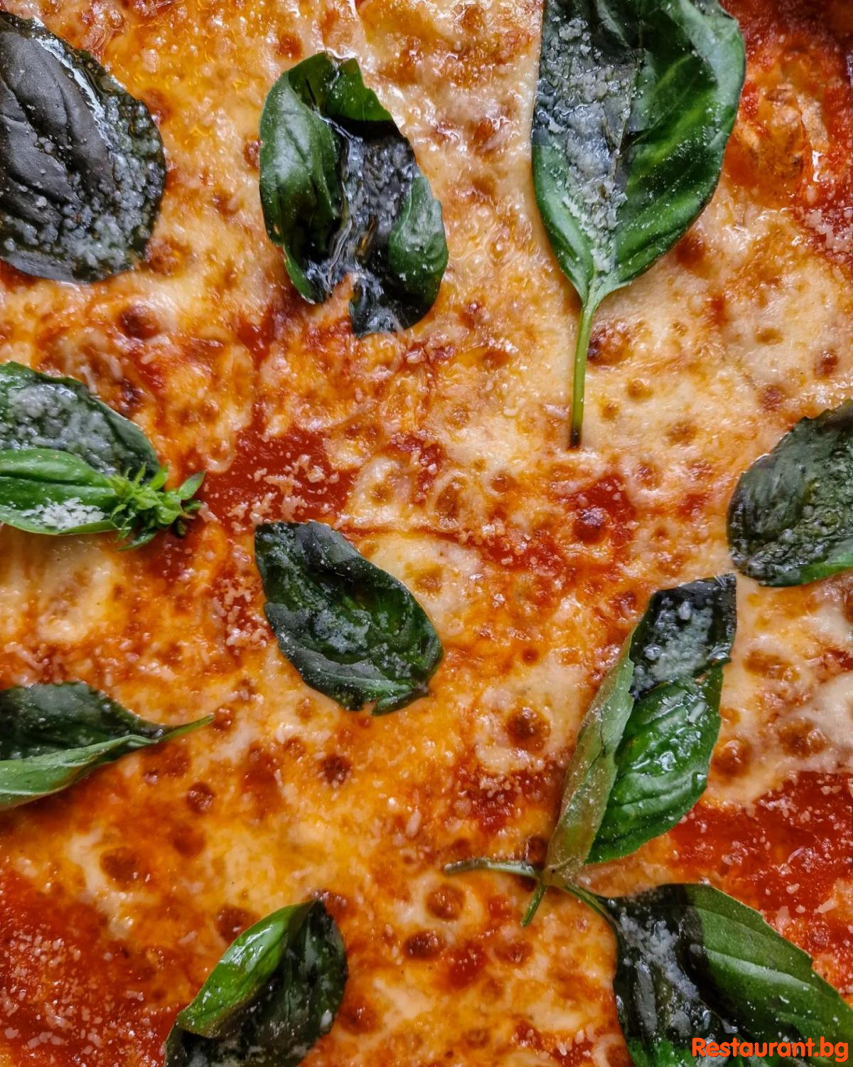 Pizza Time !