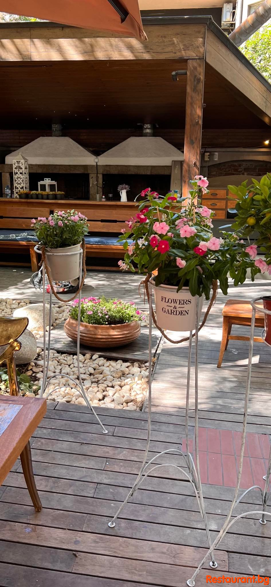 The Garden