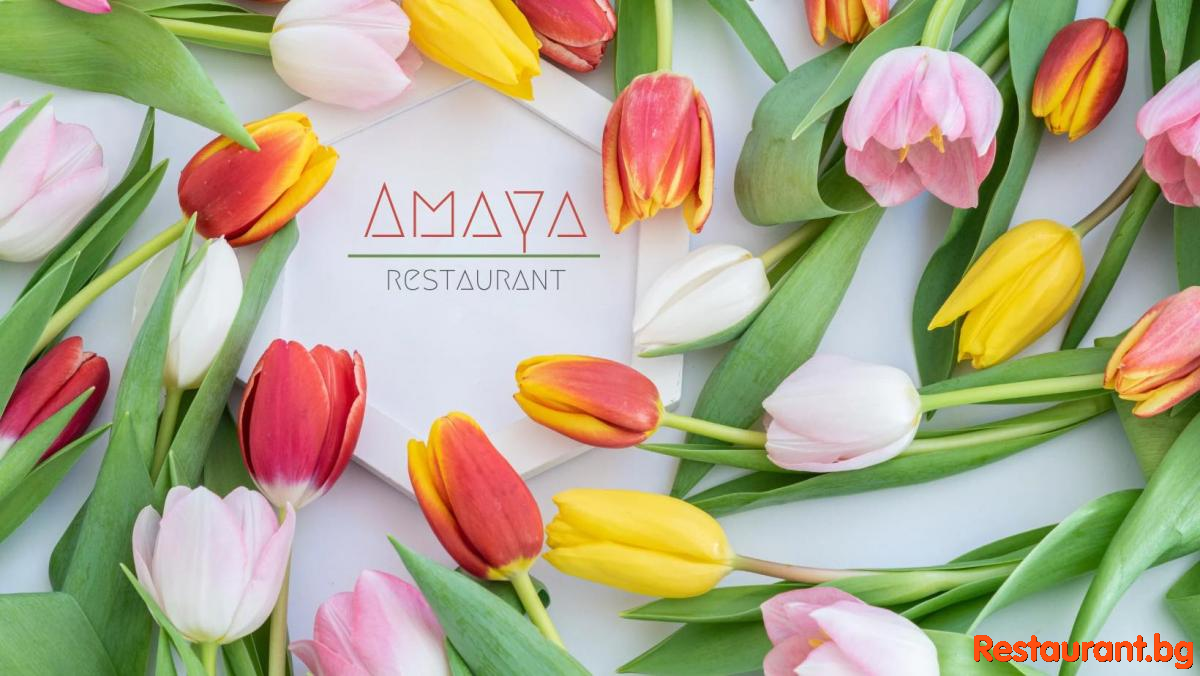 Restaurant AMAYA Sofia Krastova Vada