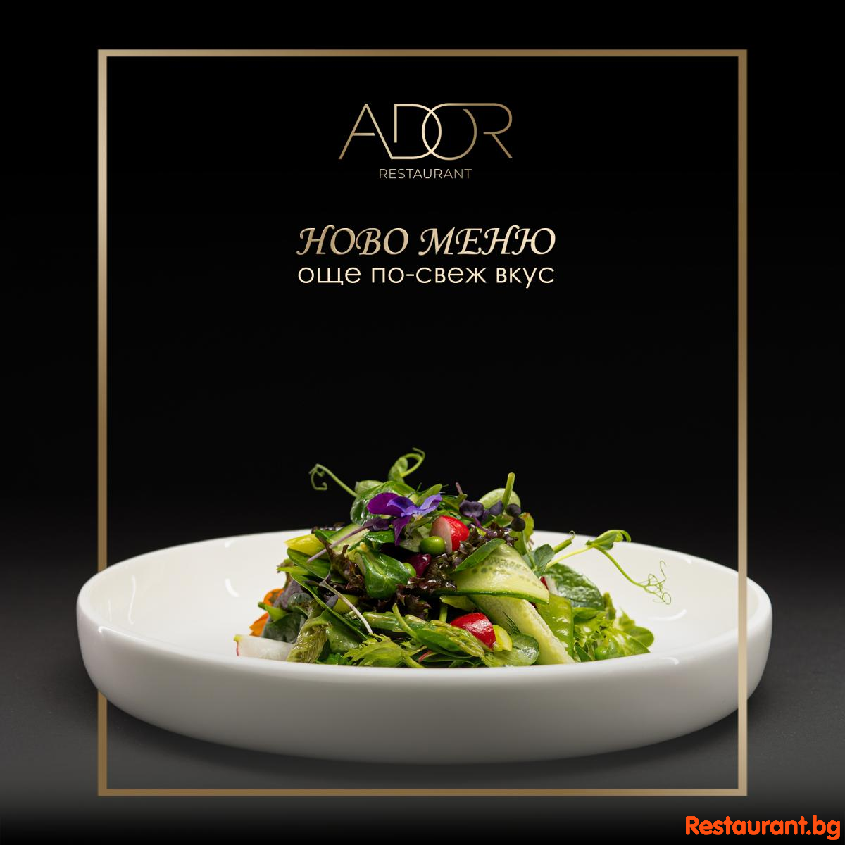 Ново ADOR меню - същата страст към вкуса !