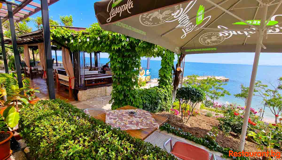 Sea View Terrace