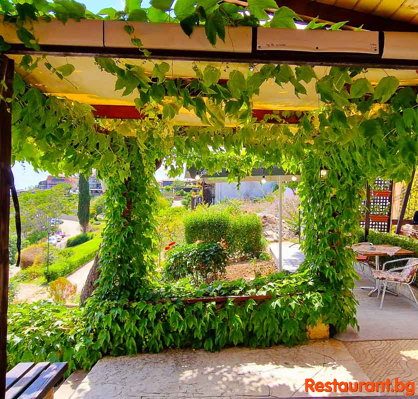 The Garden
