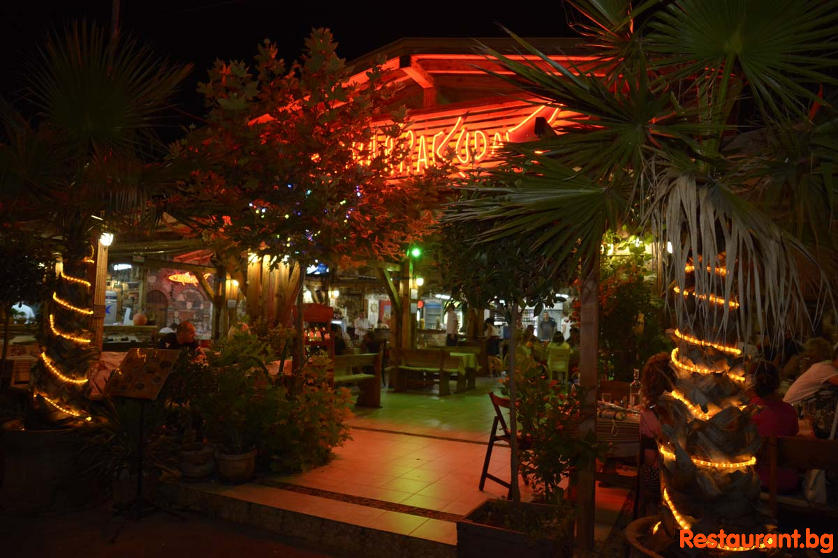 By Night