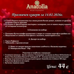 Любов, вино и парти в една незабравима вечер - ресторант Anatolia ! 