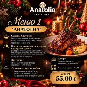 КОЛЕДНИ ФИРМЕНИ ПАРТИТА В РЕСТОРАНТ ANATOLIA София !