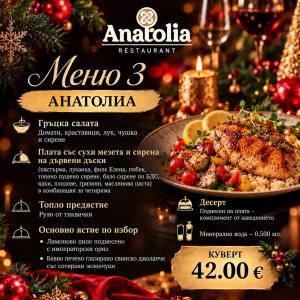 КОЛЕДНИ ФИРМЕНИ ПАРТИТА В РЕСТОРАНТ ANATOLIA София !