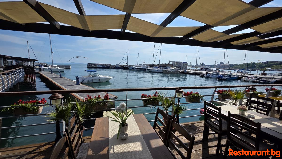Sea Panorama