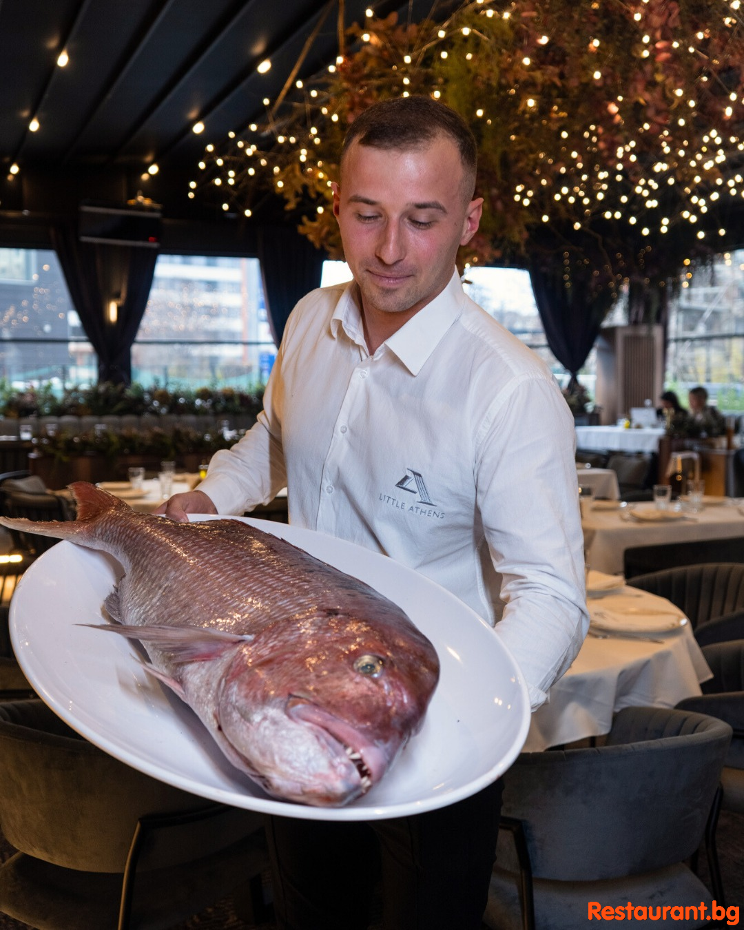 Fresh Fish !