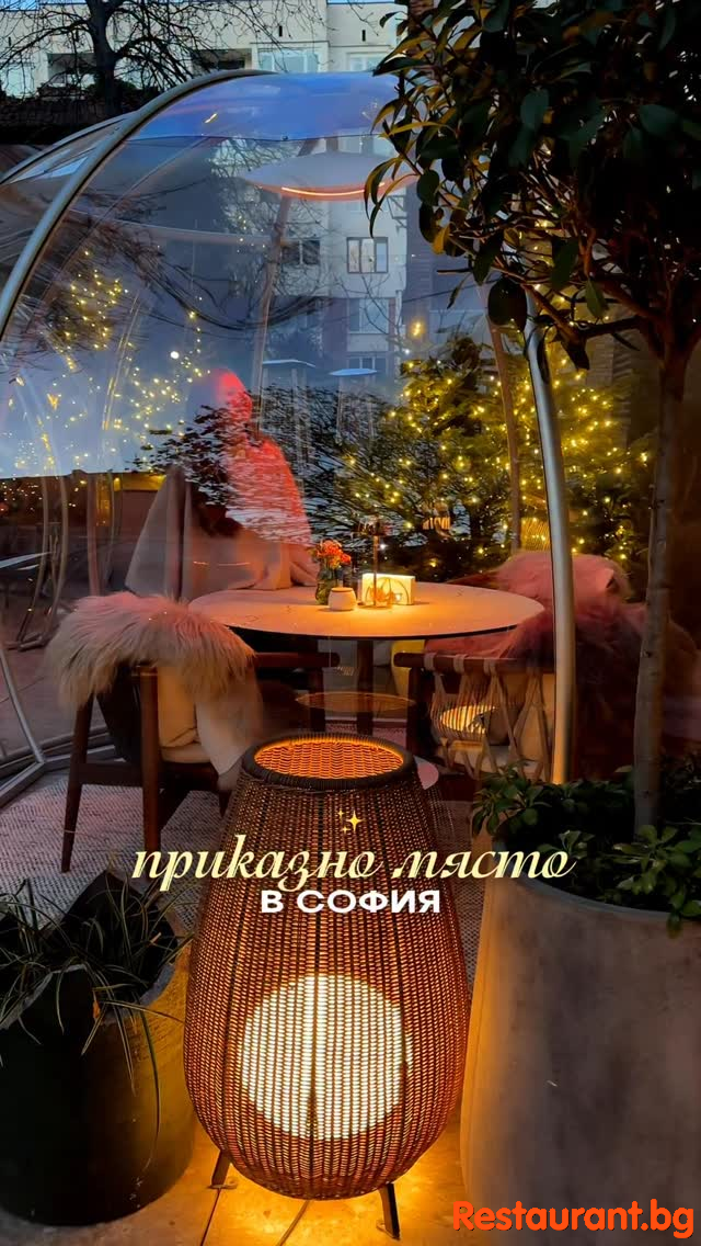 The Garden