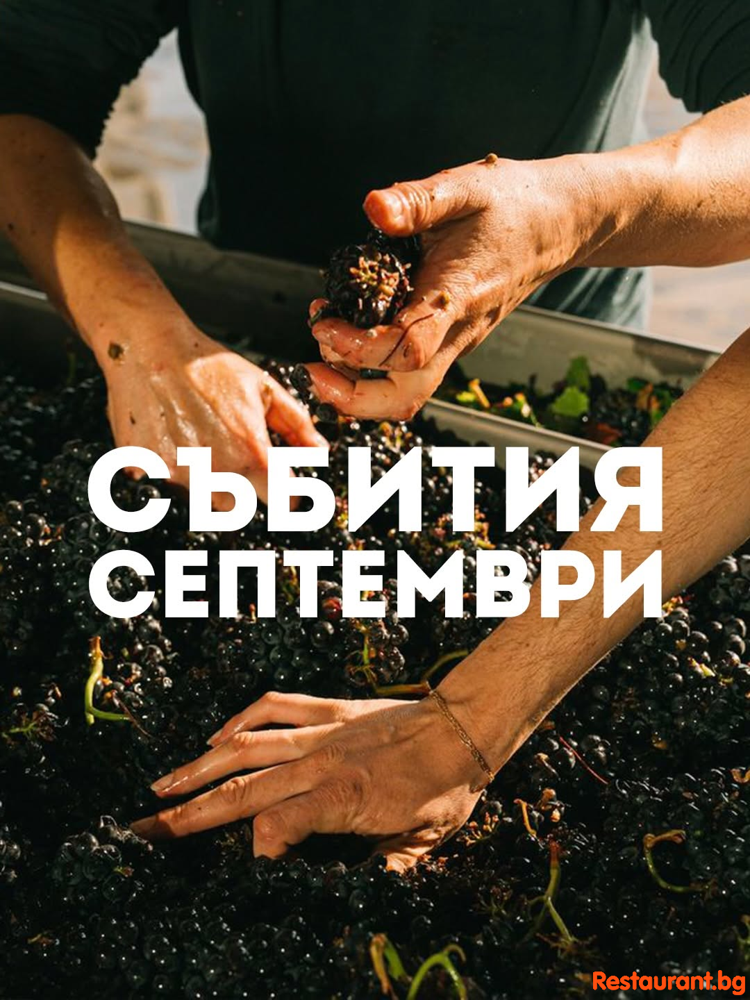 SEEWINES Дегустации в Пловдив през Септември 2026