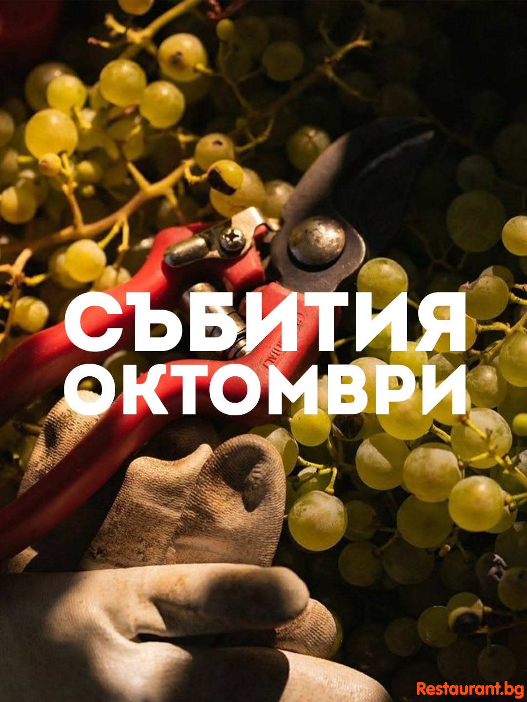 SEEWINES Дегустации в Пловдив през Октомври 2026