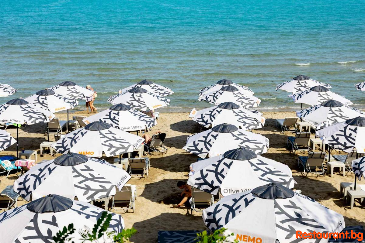 Olive Beach